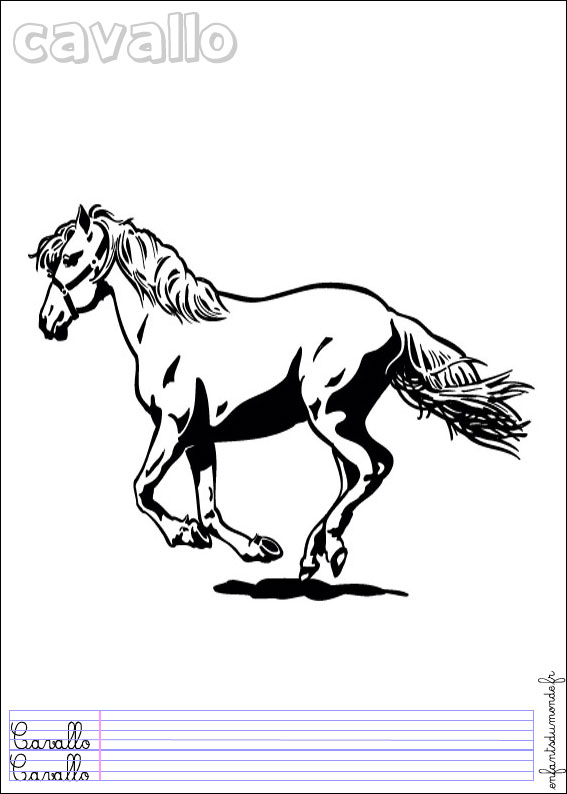 coloriage cheval 4